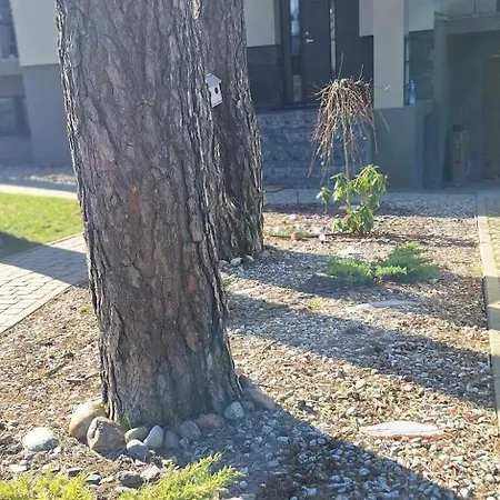 Dainavos Apartamentai *