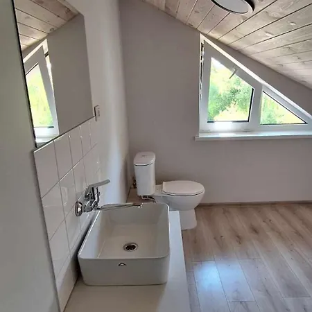 Apartament Dainavos Apartamentai Druskieniki
