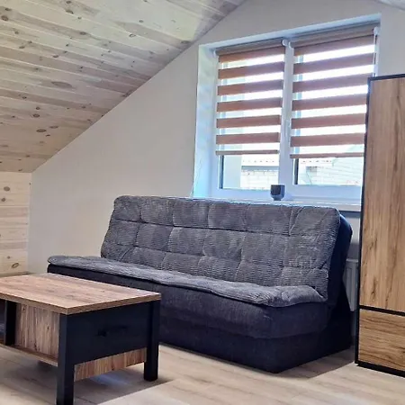 Apartament Dainavos Apartamentai Druskieniki