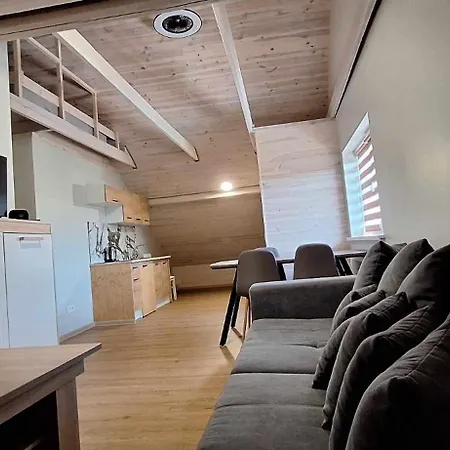 Dainavos Apartamentai Apartmán Druskininkai