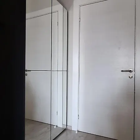 Dainavos Apartamentai * Druskininkai