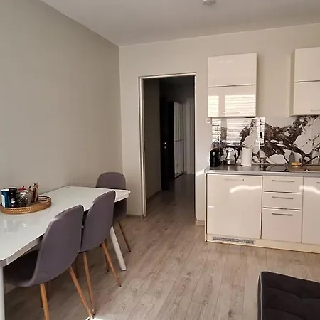 Dainavos Apartamentai Apartmán Druskininkai