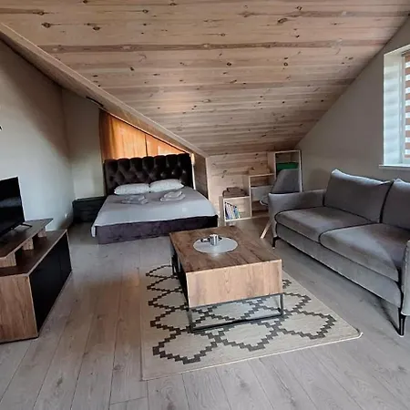 Dainavos Apartamentai Apartmán *