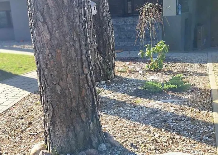 Dainavos Apartamentai *