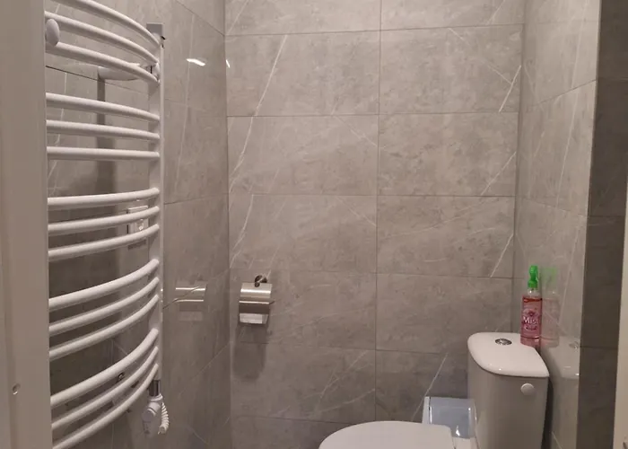 Dainavos Apartamentai アパート ドルスキニンカイ