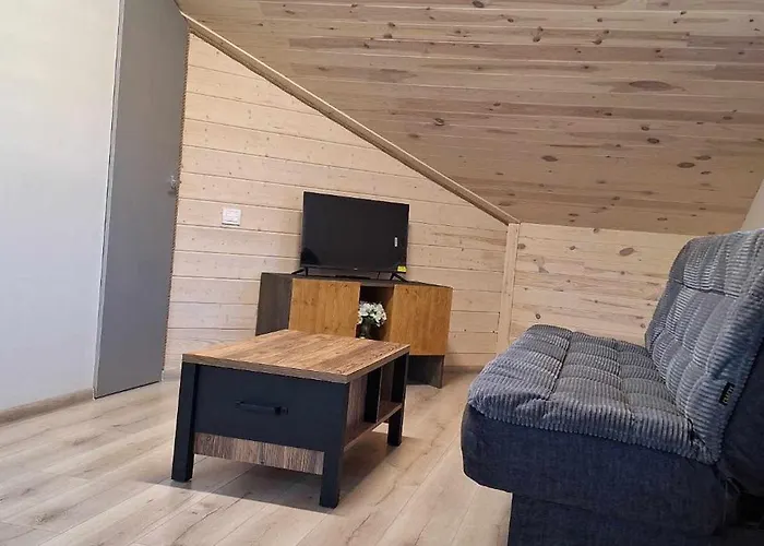 Dainavos Apartamentai * Druskininkai