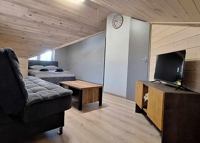 Dainavos Apartamentai Apartmán Druskininkai