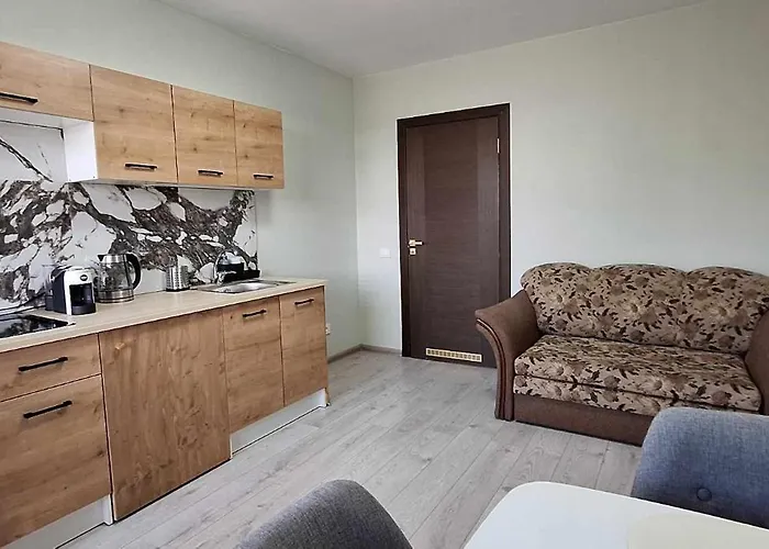 Dainavos Apartamentai * ドルスキニンカイ