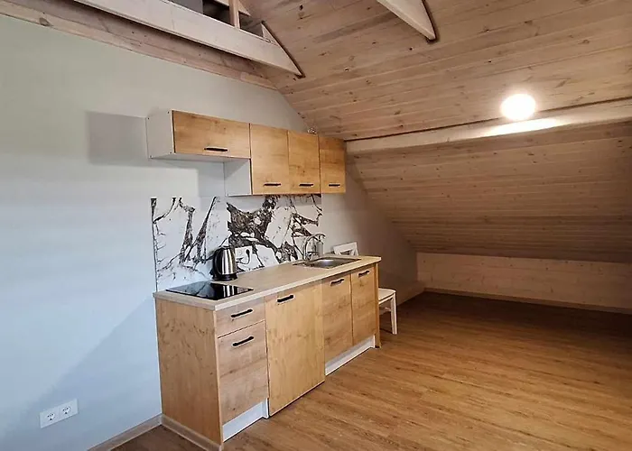 Dainavos Apartamentai Apartmán Druskininkai